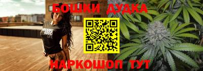 индика Моздок