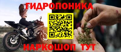 СК Можга