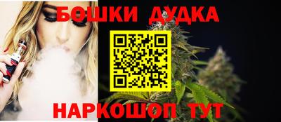 индика Моздок