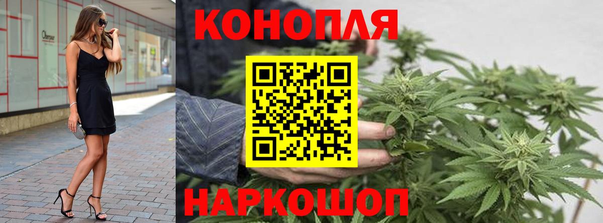 Канабис сатива Владивосток